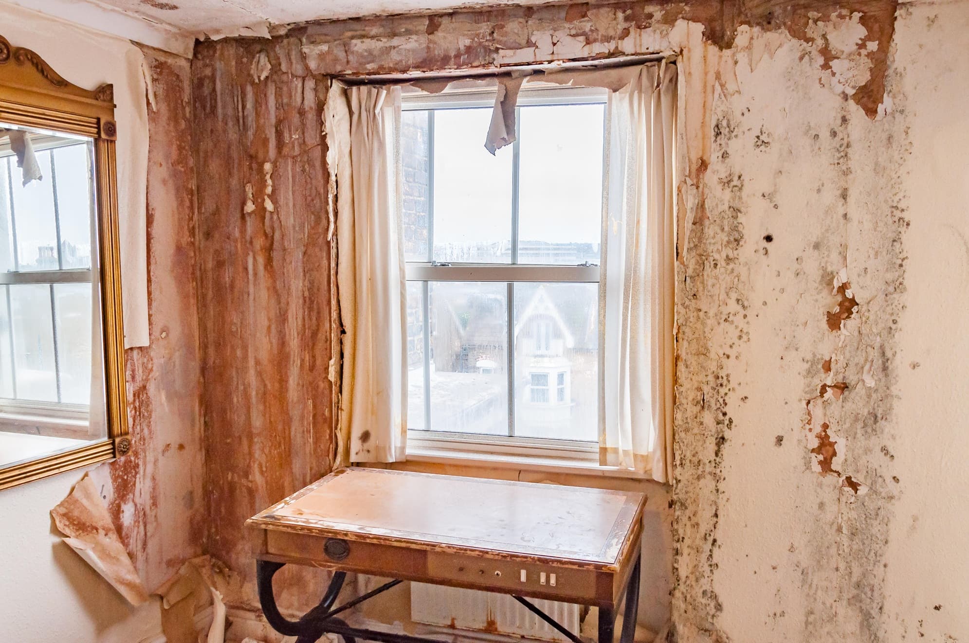 Causes of Mould in Flats
